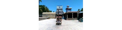 071. திருநெடுங்களம்